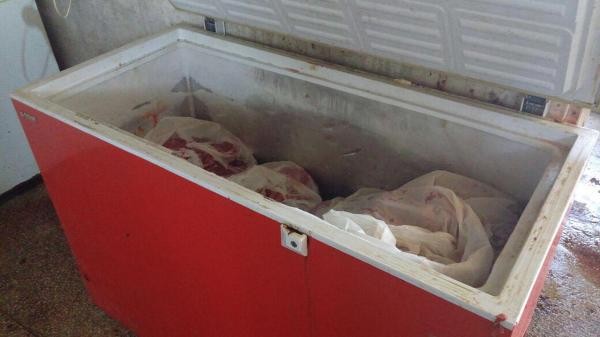 Bir ton kaçak domuz etinin adresi İstanbul'du